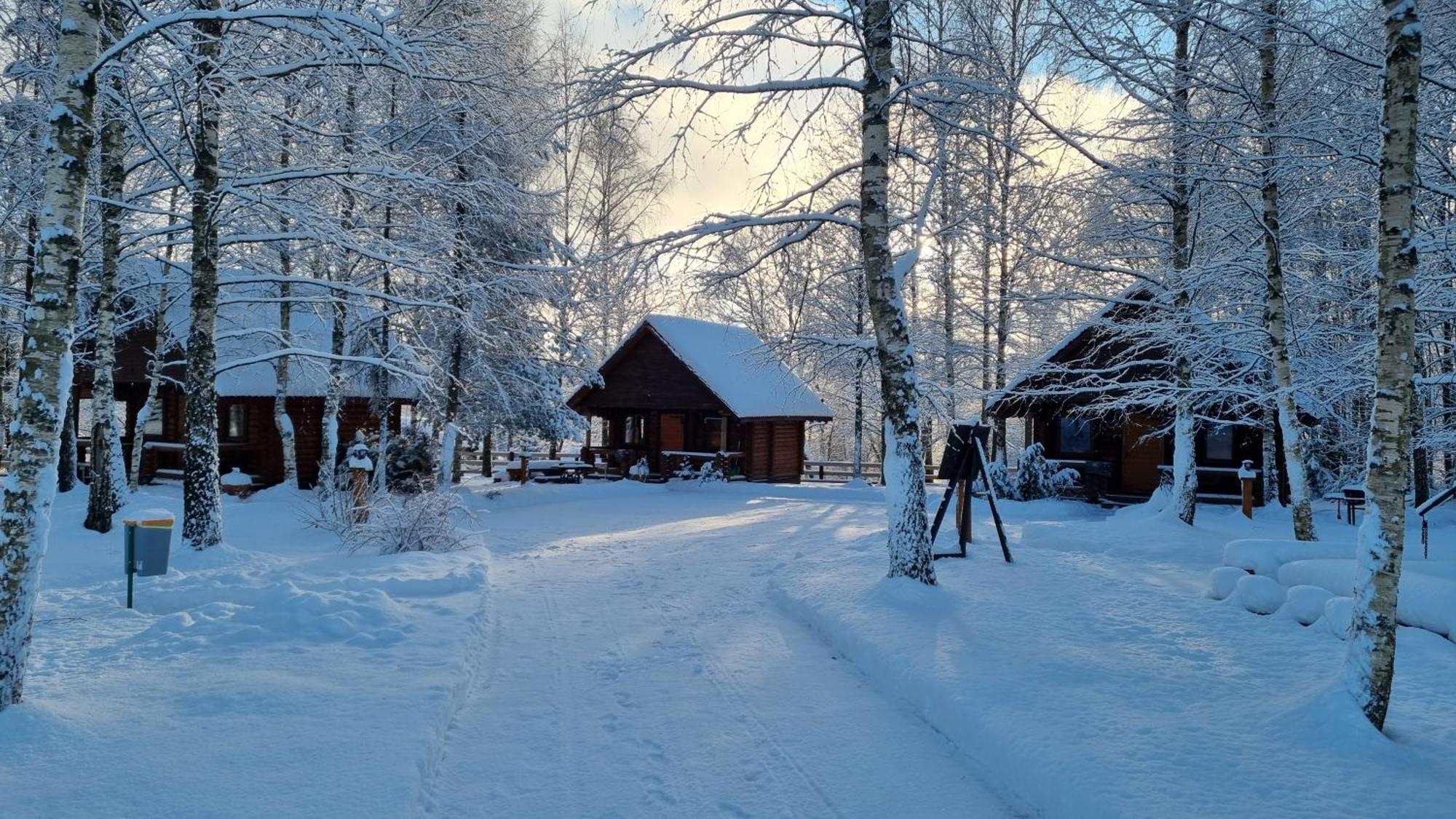 Camping Oskalns ツェーシス エクステリア 写真