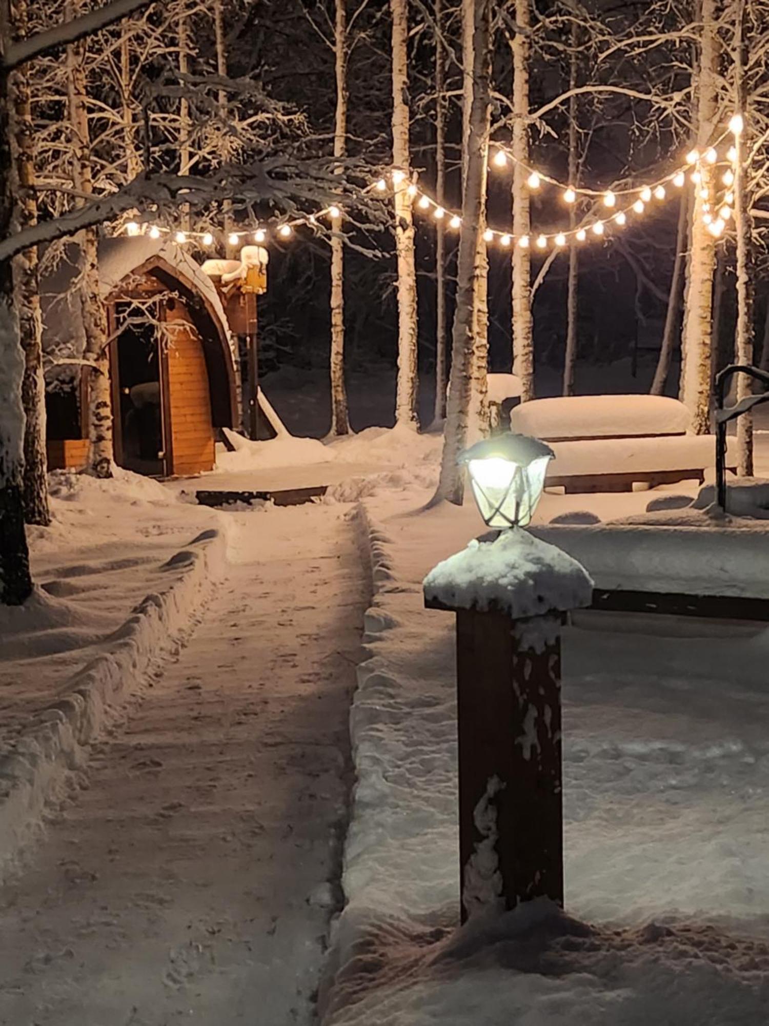 Camping Oskalns ツェーシス エクステリア 写真